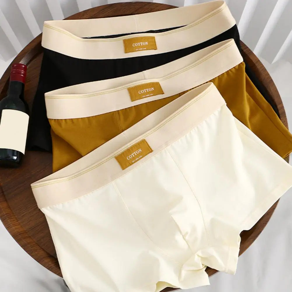 CottonEase Boxer Homme — Ceinture Large Confort & Respiration