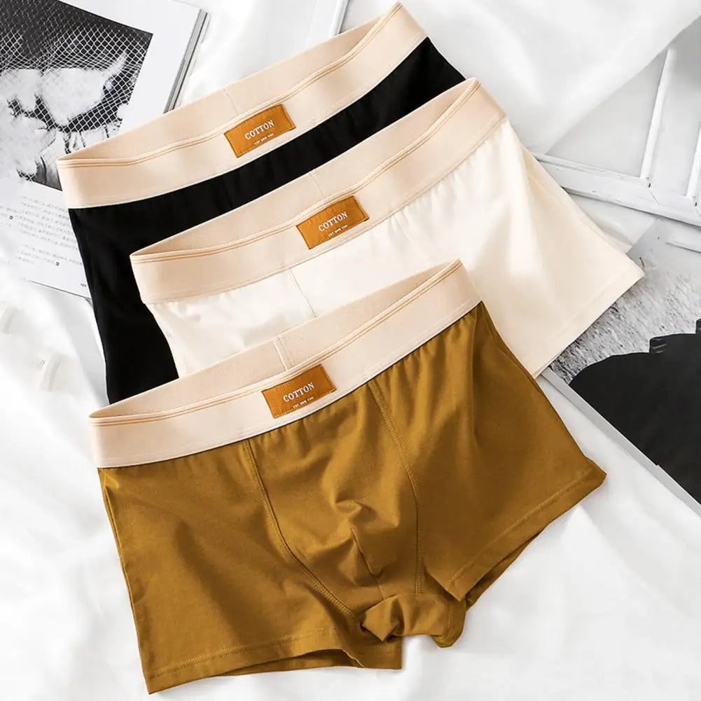 CottonEase Boxer Homme — Ceinture Large Confort & Respiration