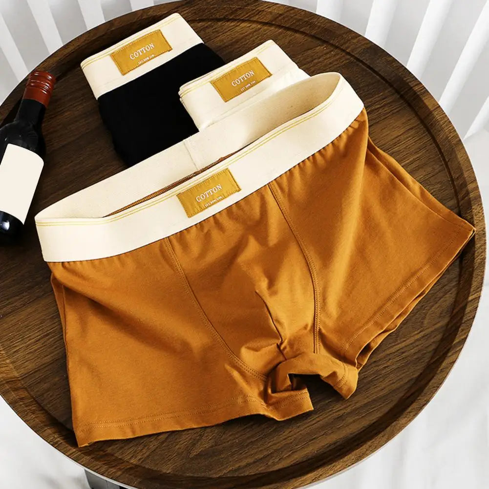 CottonEase Boxer Homme — Ceinture Large Confort & Respiration