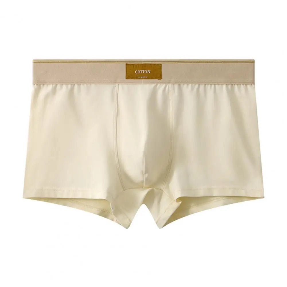 CottonEase Boxer Homme — Ceinture Large Confort & Respiration