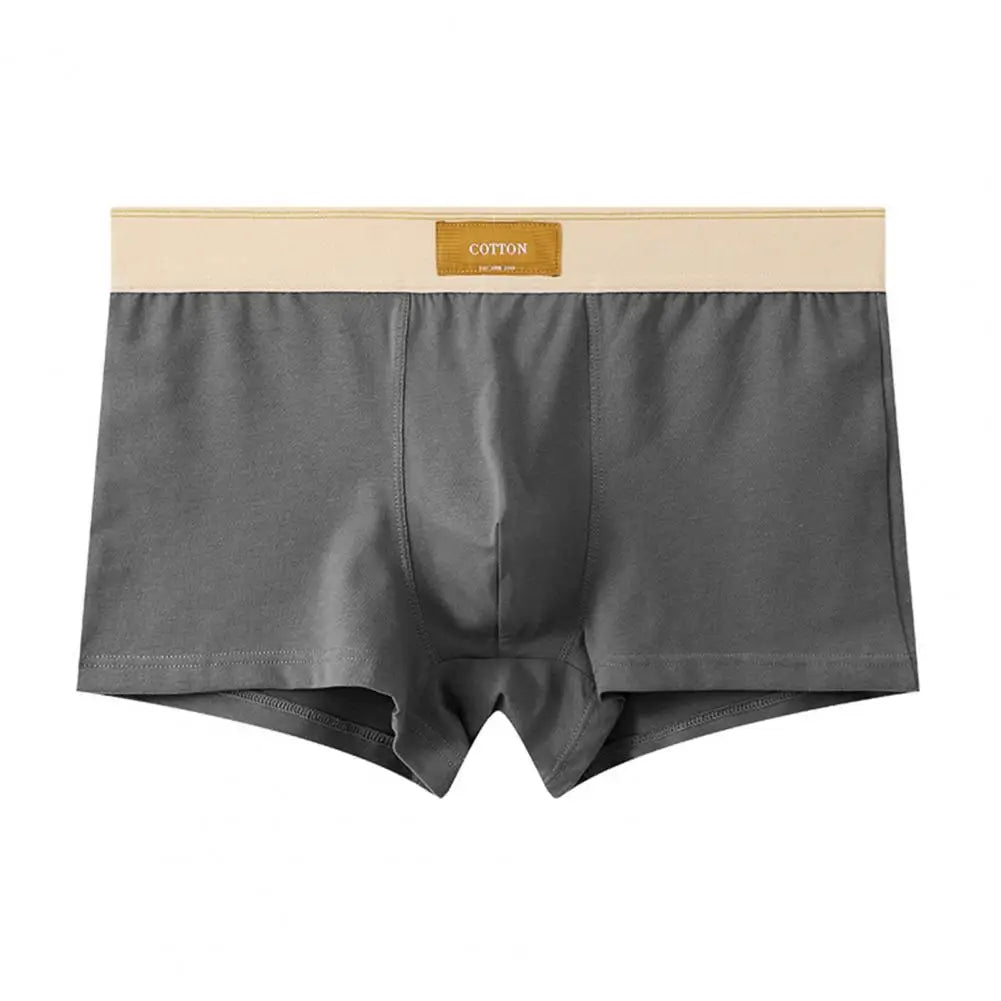 CottonEase Boxer Homme — Ceinture Large Confort & Respiration