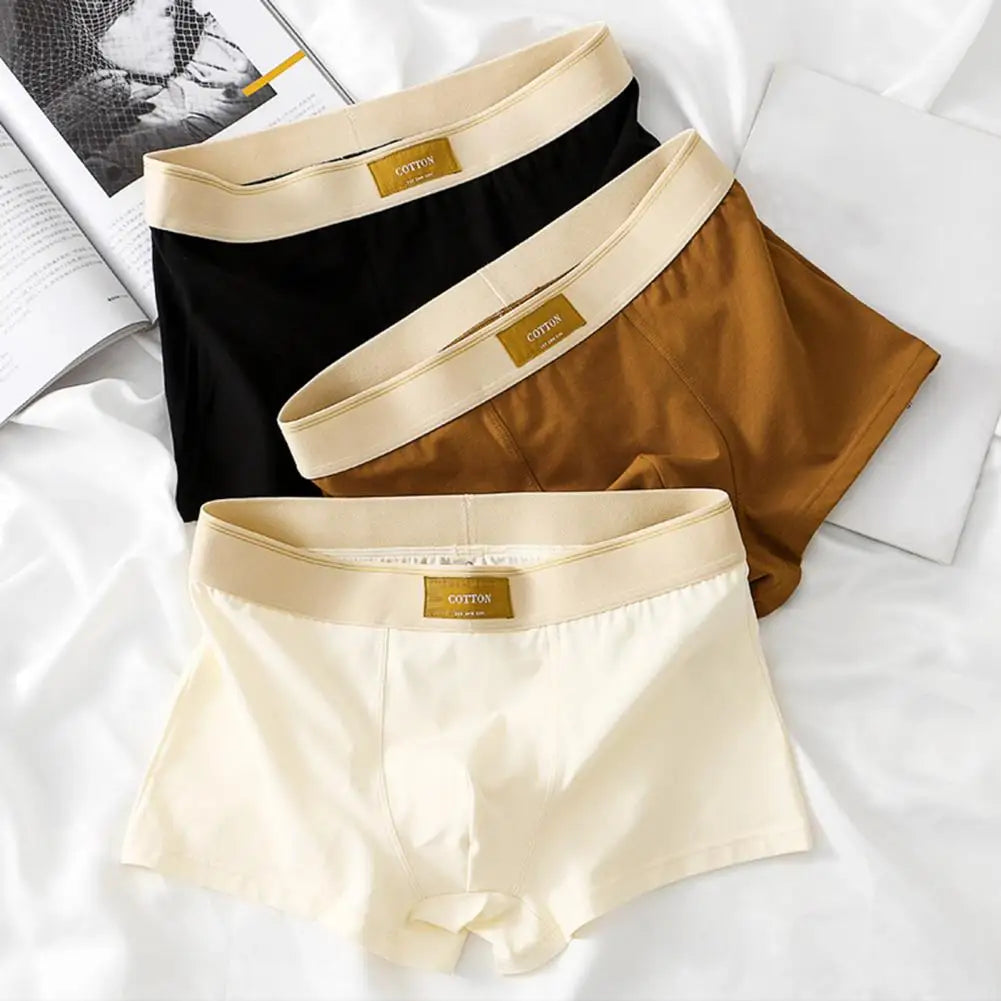 CottonEase Boxer Homme — Ceinture Large Confort & Respiration