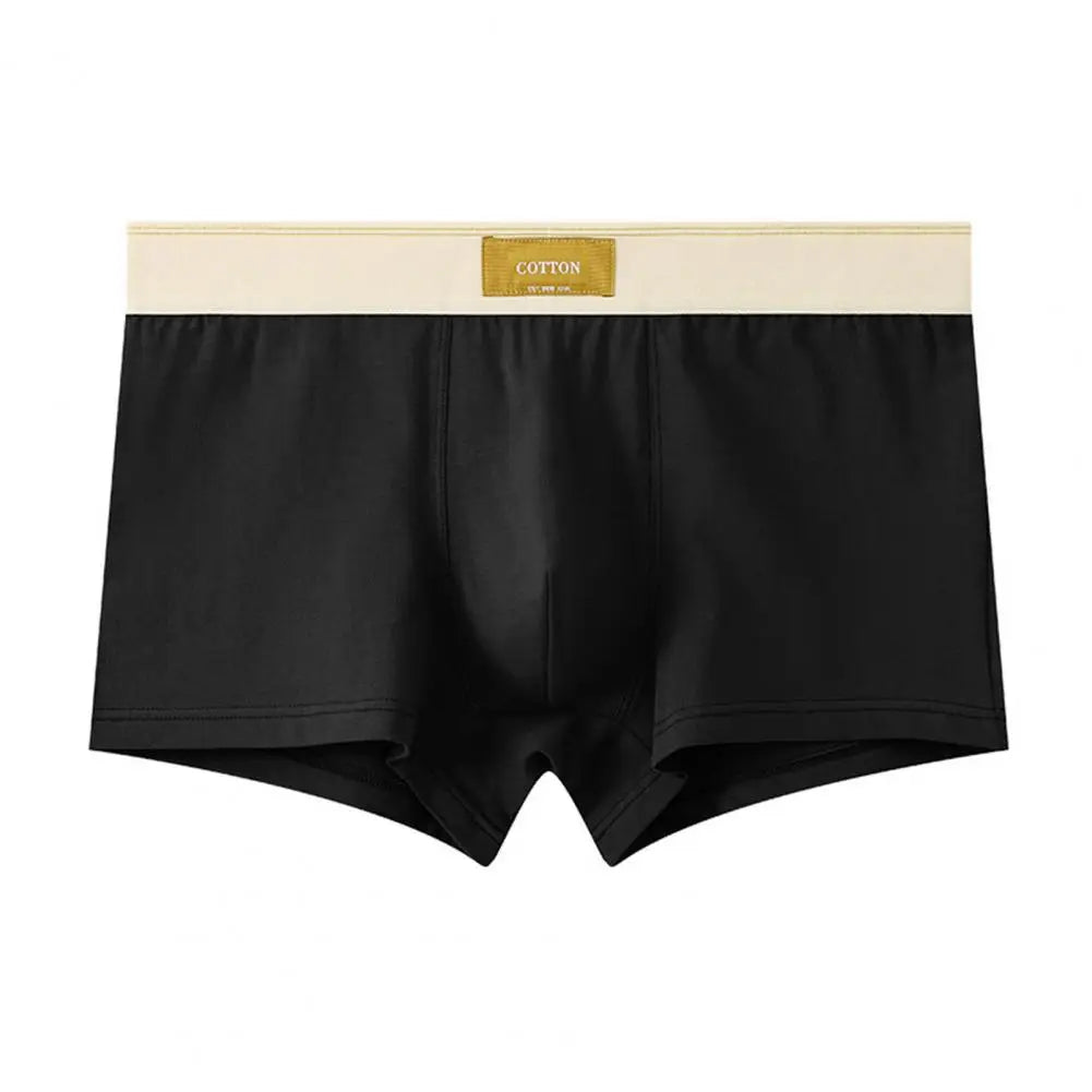 CottonEase Boxer Homme — Ceinture Large Confort & Respiration